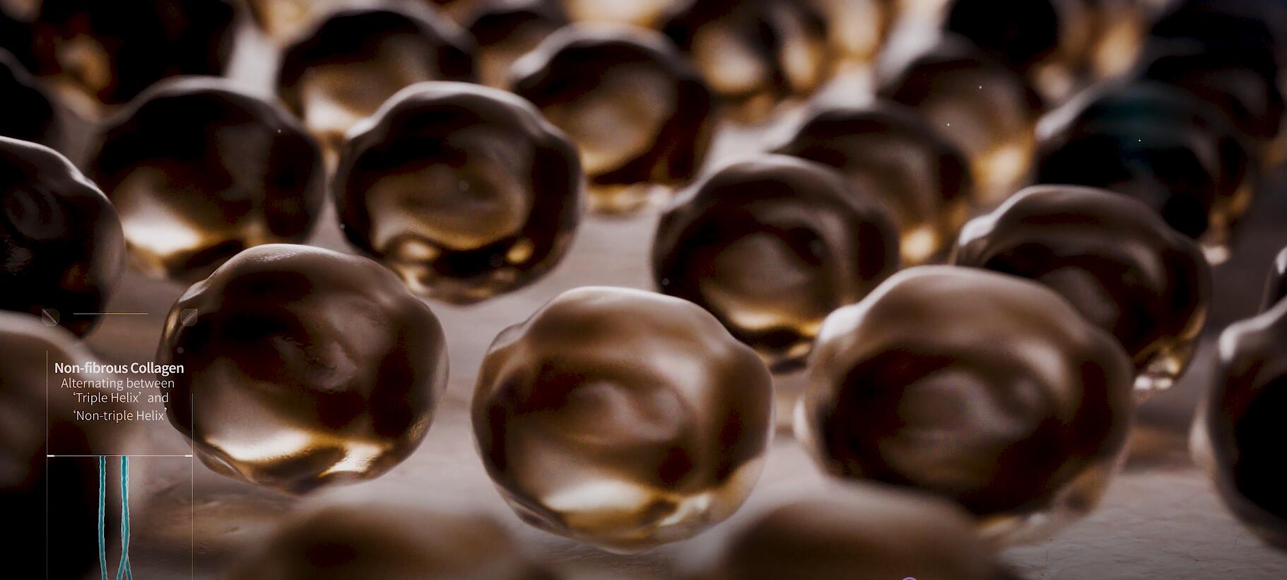 新闻 | 尊龙凯时医疗重组XVII型胶原功效探索，助力头皮“年轻态”新选择